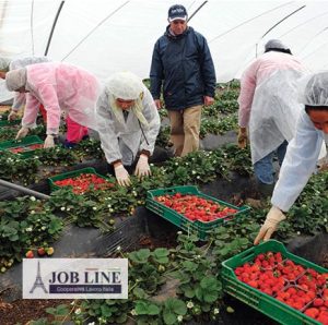 Consorzio Braccianti Agricoli